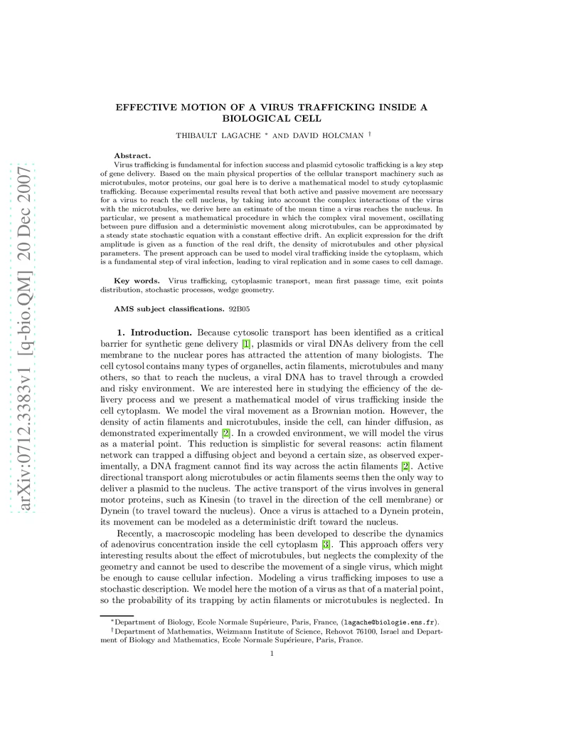 A Micro-foundation of Social Capital in Evolving Social Networks