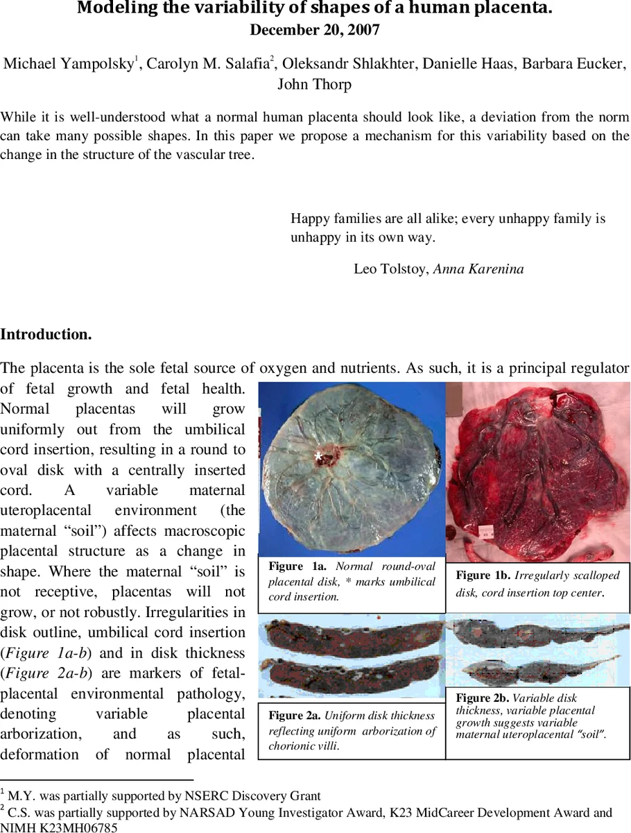 Randomisation Algorithms for Large Sparse Matrices