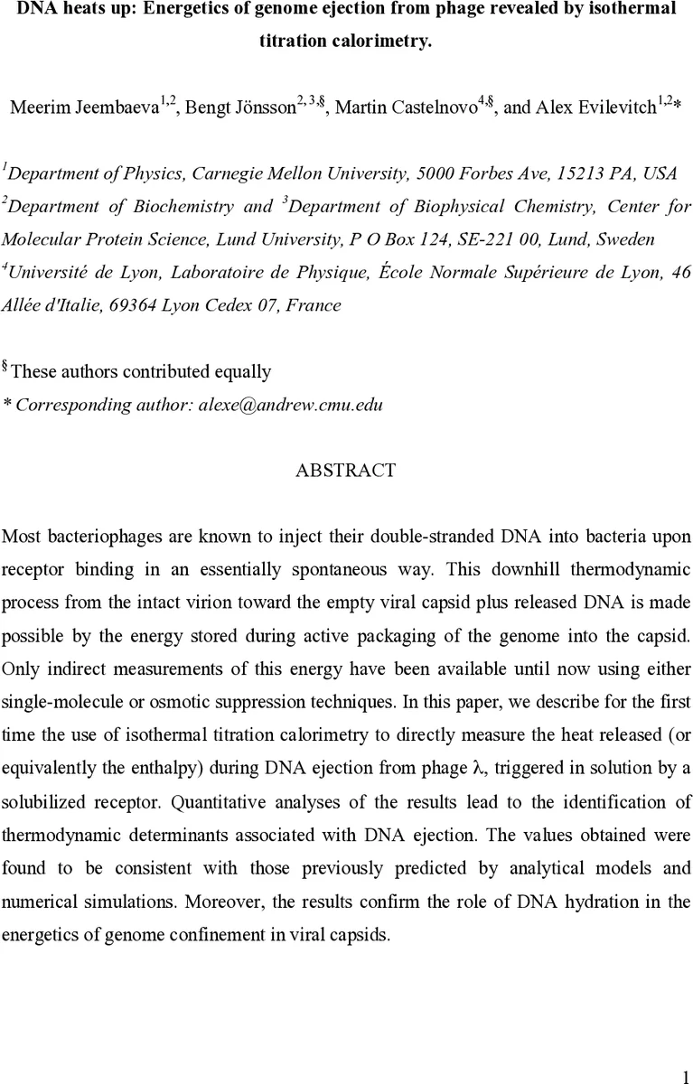 Densifying Assumed-sparse Tensors: Improving Memory Efficiency and MPI   Collective Performance during Tensor Accumulation for Parallelized Training   of Neural Machine Translation Models