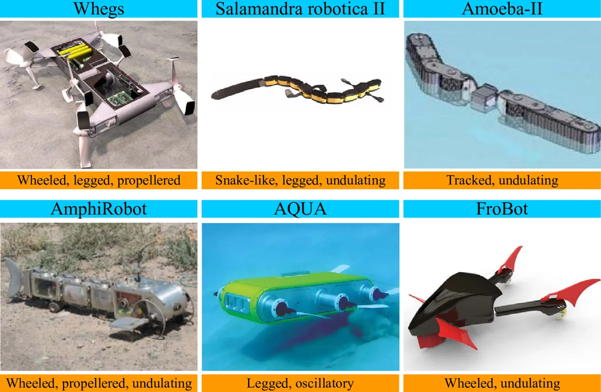 Exact Mutual Information Difference: Scalar vs. Maxwell Fields