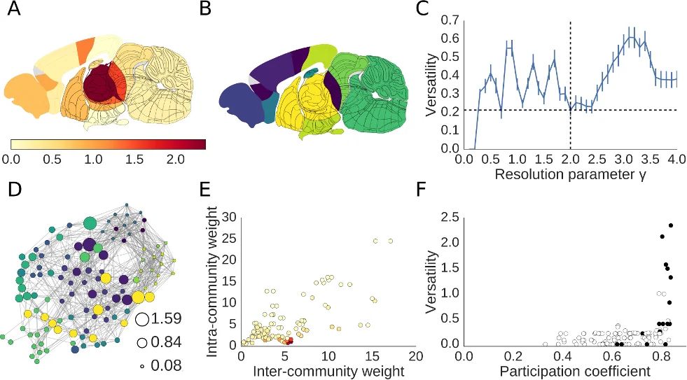 Representation Learning to Study Temporal Dynamics in Tutorial Scaffolding