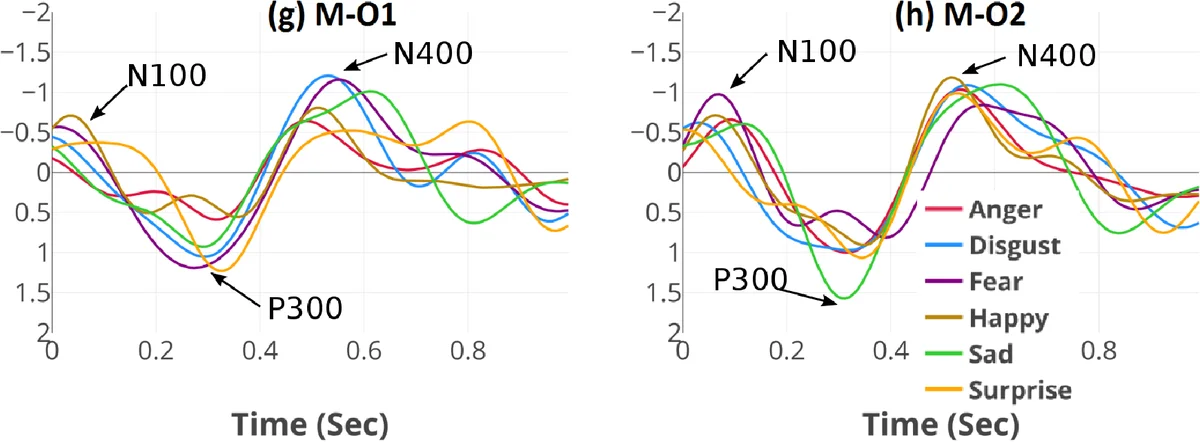 Random Domino Tilings and the Arctic Circle Theorem