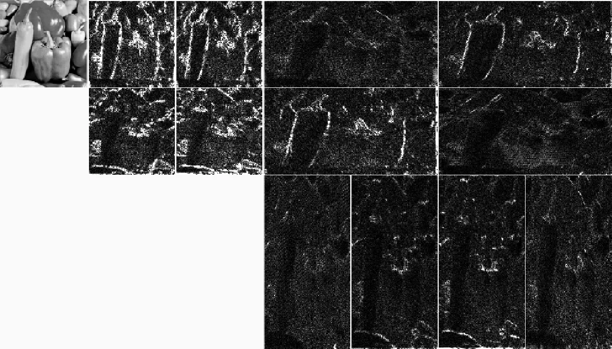 Rigidity and flexibility of biological networks