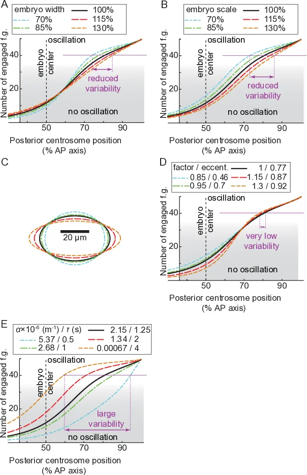 Pseudo-integrable billiards and arithmetic dynamics