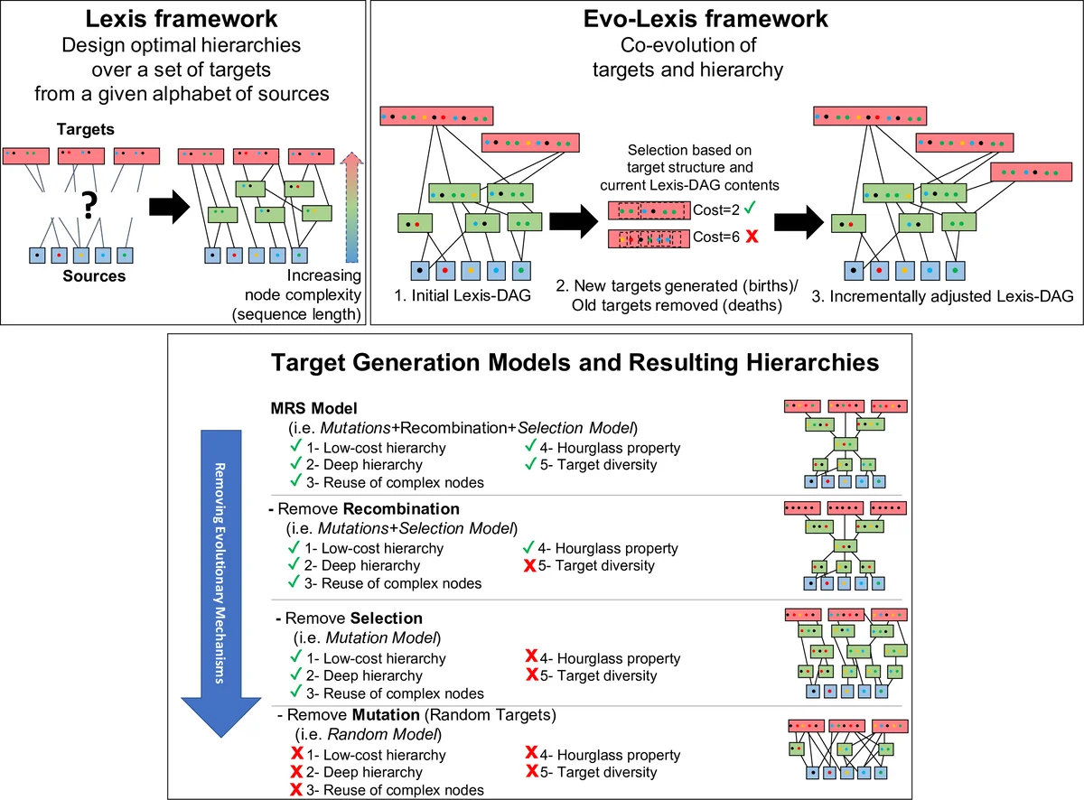 Measurement-Free Ancilla Recycling via Blind Reset: A Cross-Platform Study on Superconducting and Trapped-Ion Processors