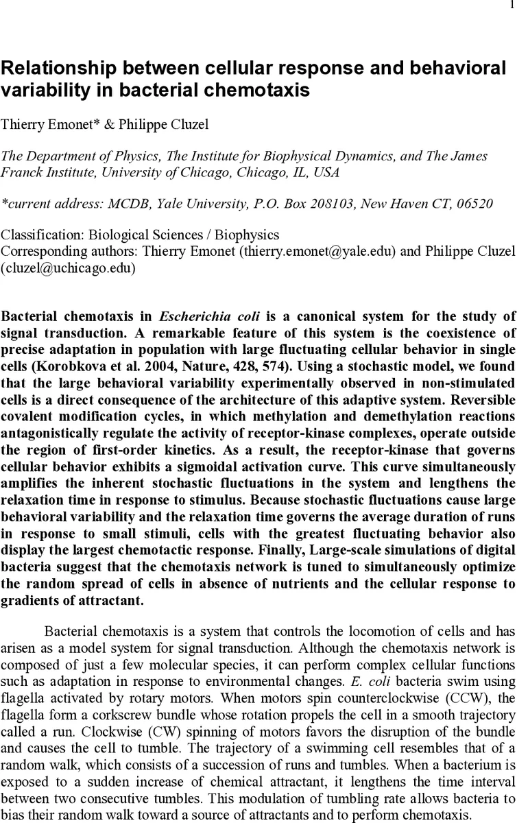 From Prompts to Performance: Evaluating LLMs for Task-based Parallel Code Generation