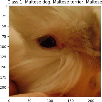 Identifying Best Candidates for Busbar Splitting