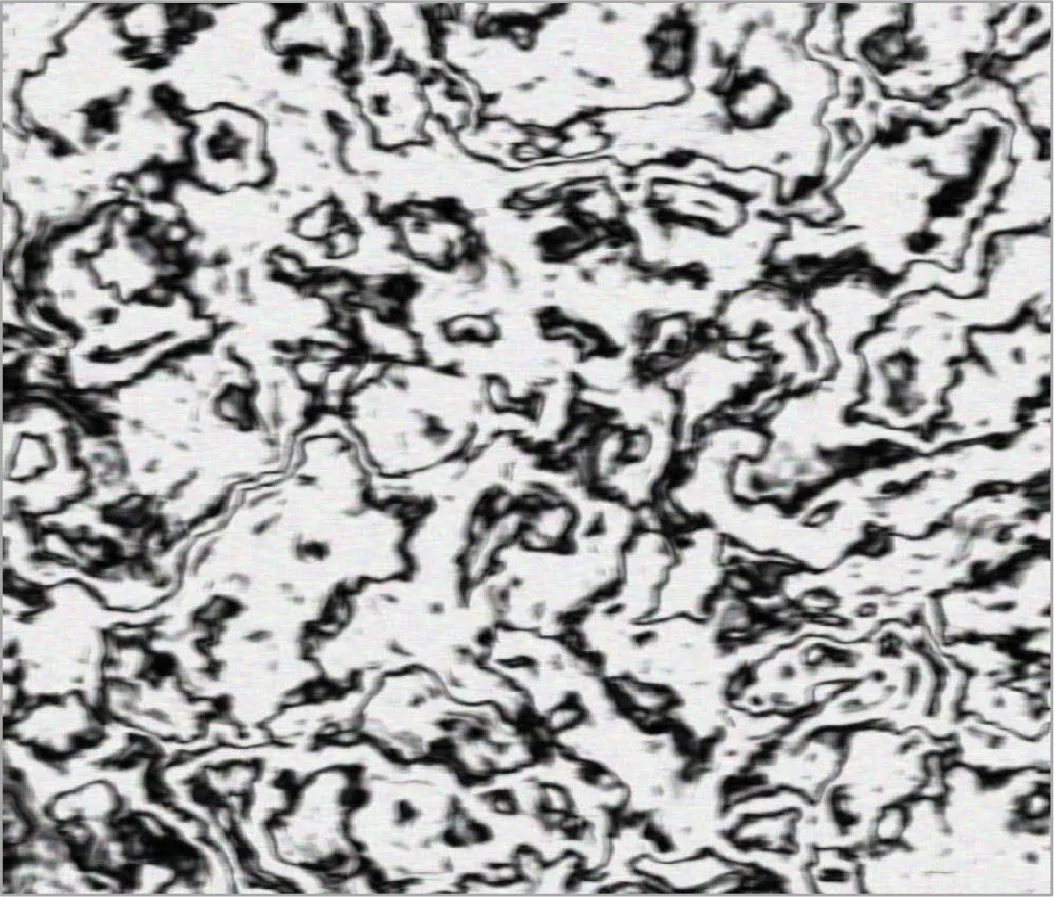 Case-Factor Diagrams for Structured Probabilistic Modeling