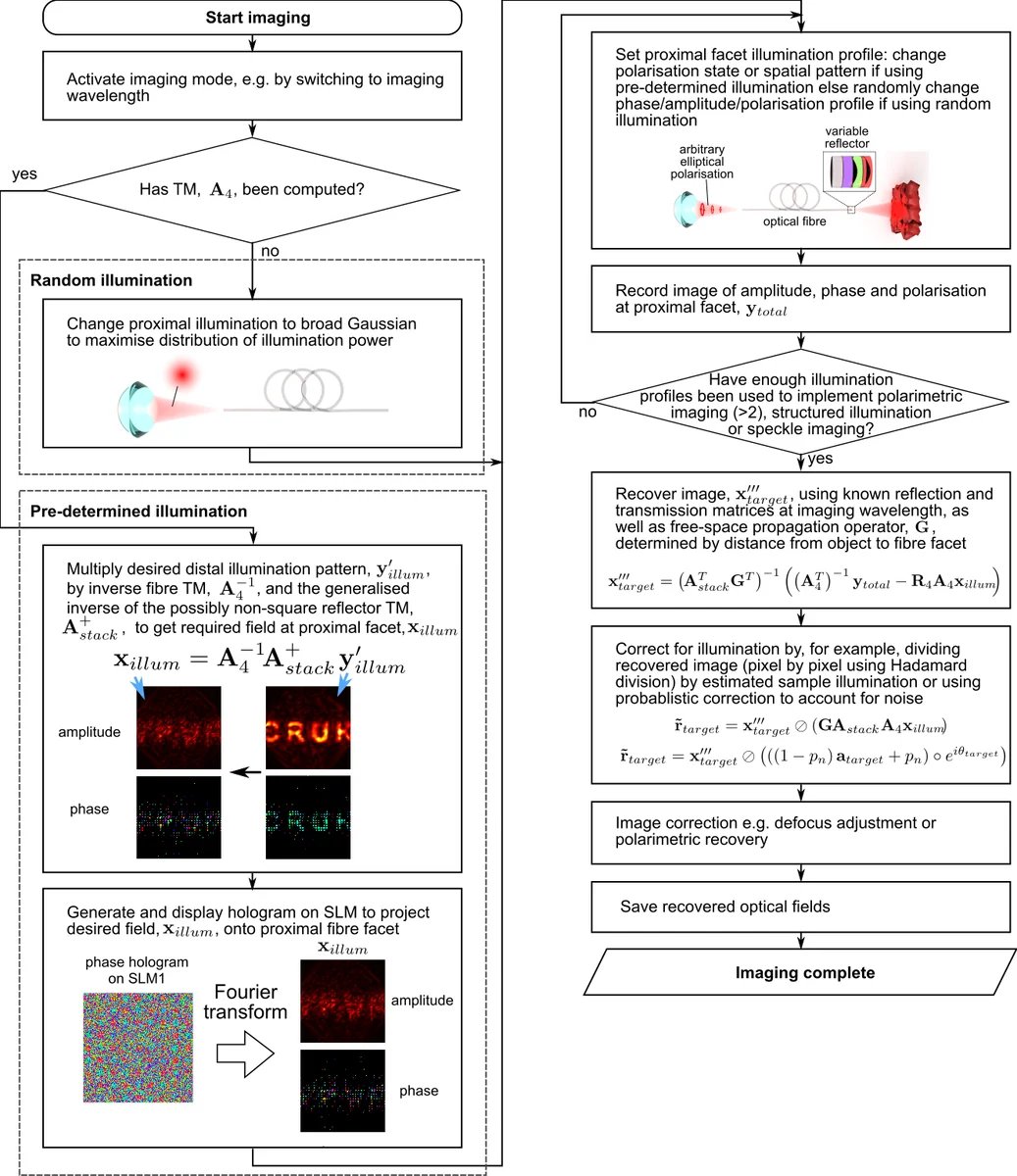 Plasmonic resonances at interfaces patterned by nanoparticle lattices