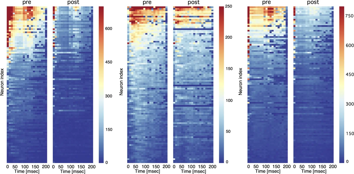 Empirical chemical stratifications in magnetic Ap stars: questions of   uniqueness