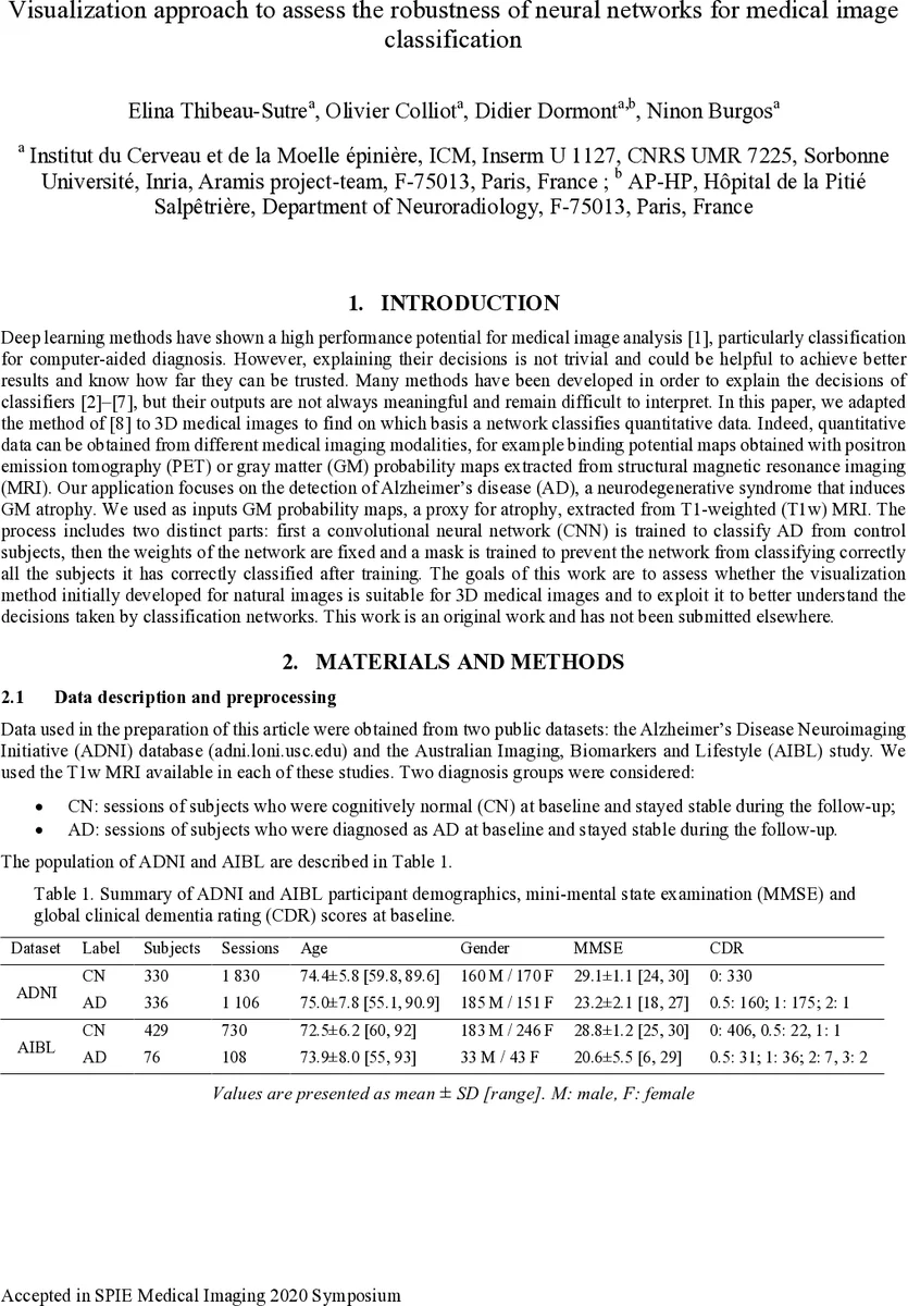 Visualization approach to assess the robustness of neural networks for   medical image classification