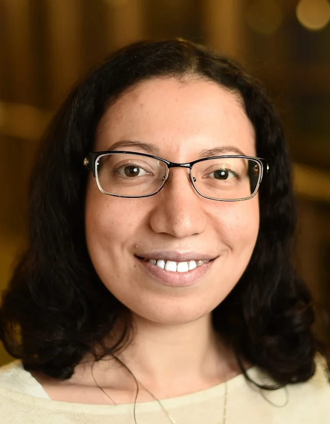 Plasmonic resonances at interfaces patterned by nanoparticle lattices