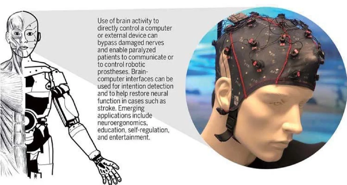 Quartic Curves and Their Bitangents