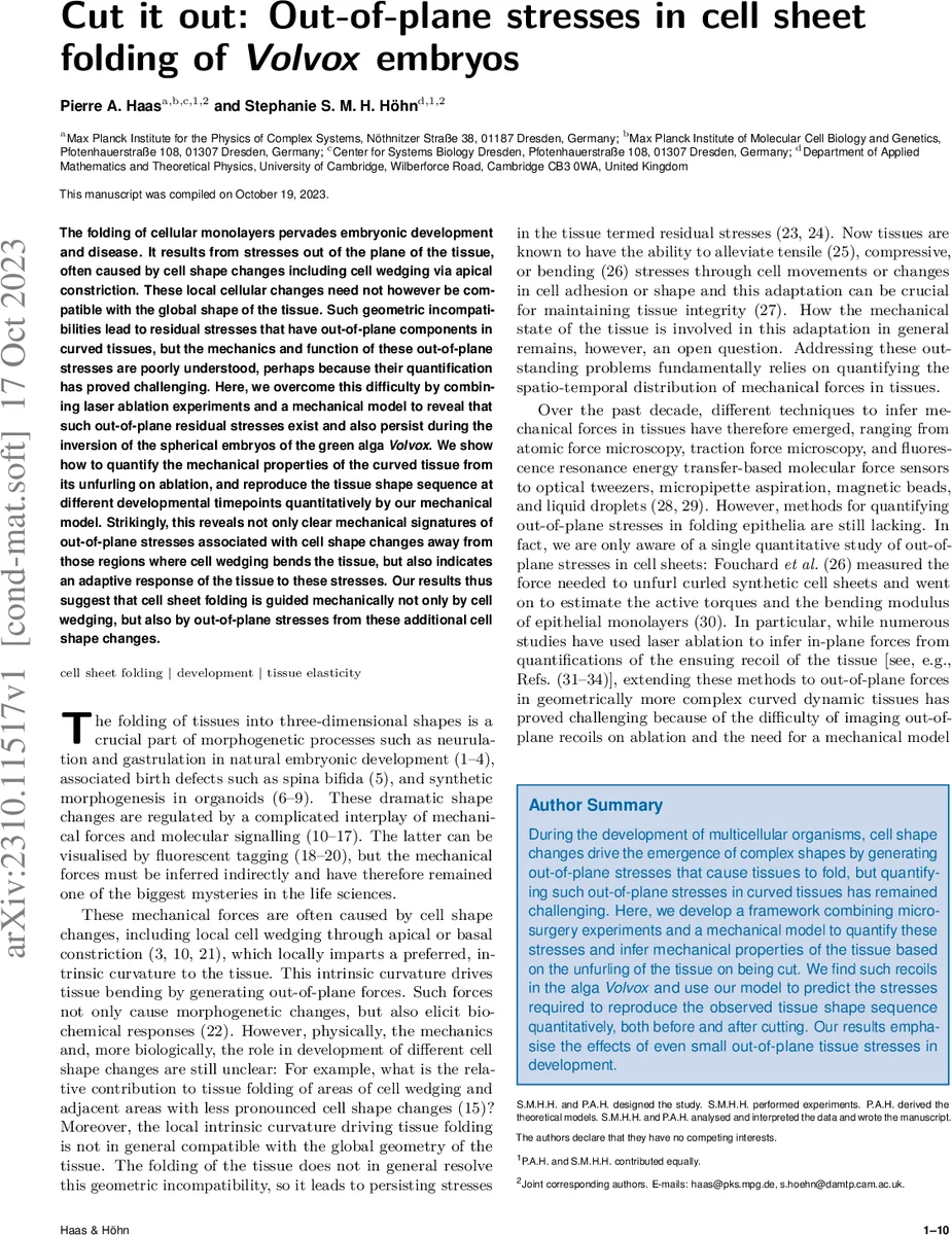 Order statistics for multijet events