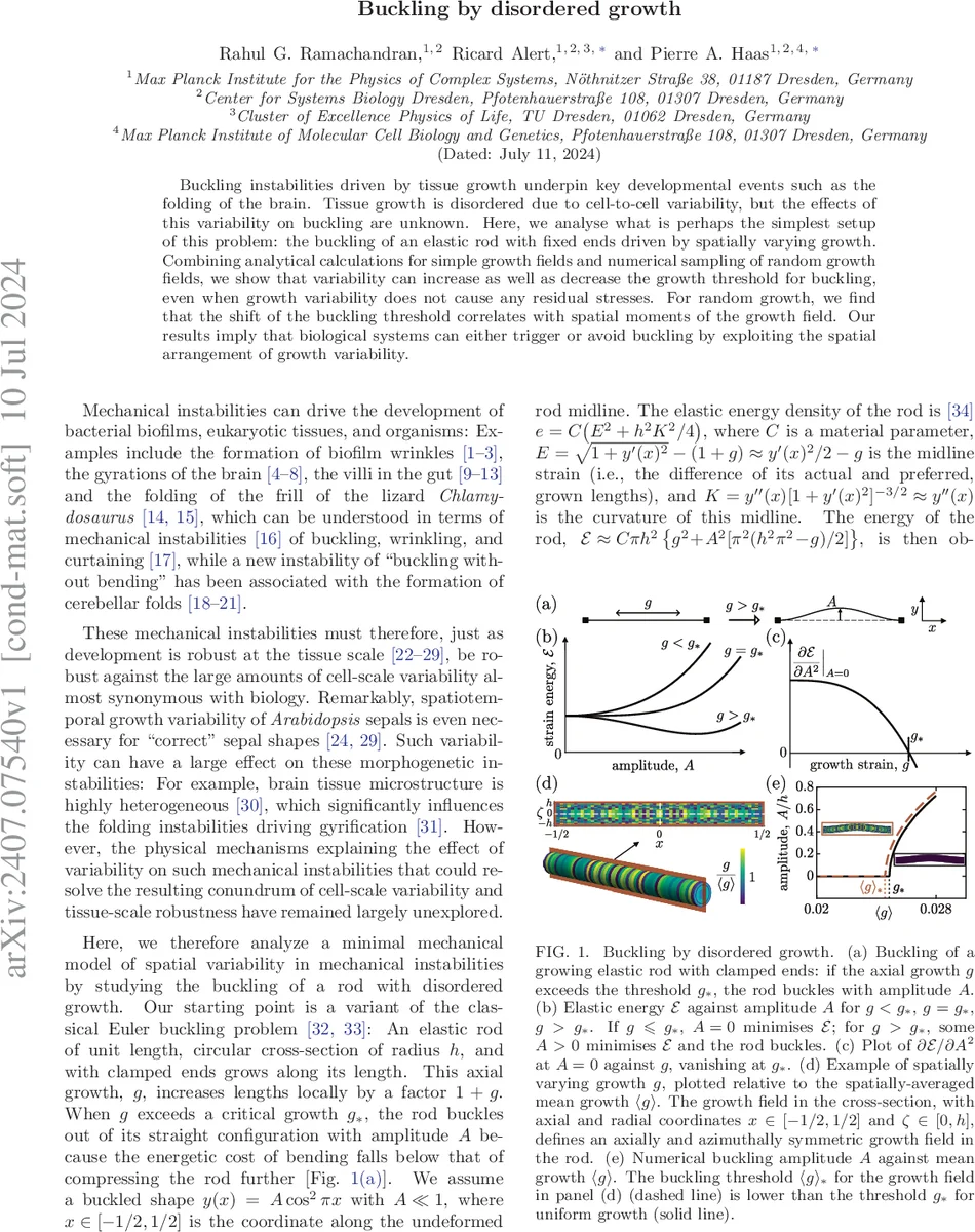 On contact and finitely Levi-nondegenerate CR algebras