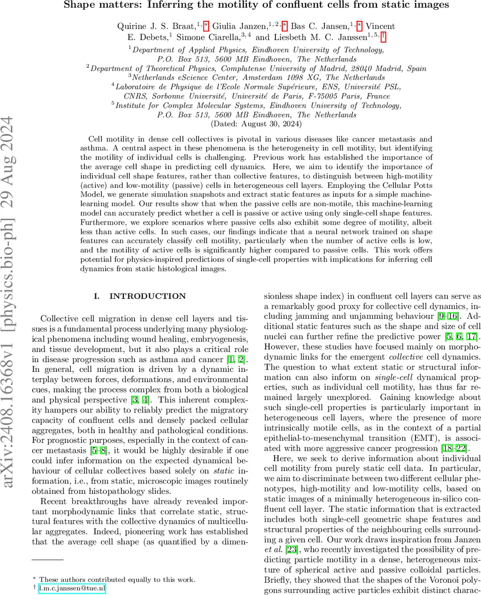 Shape matters: Inferring the motility of confluent cells from static images