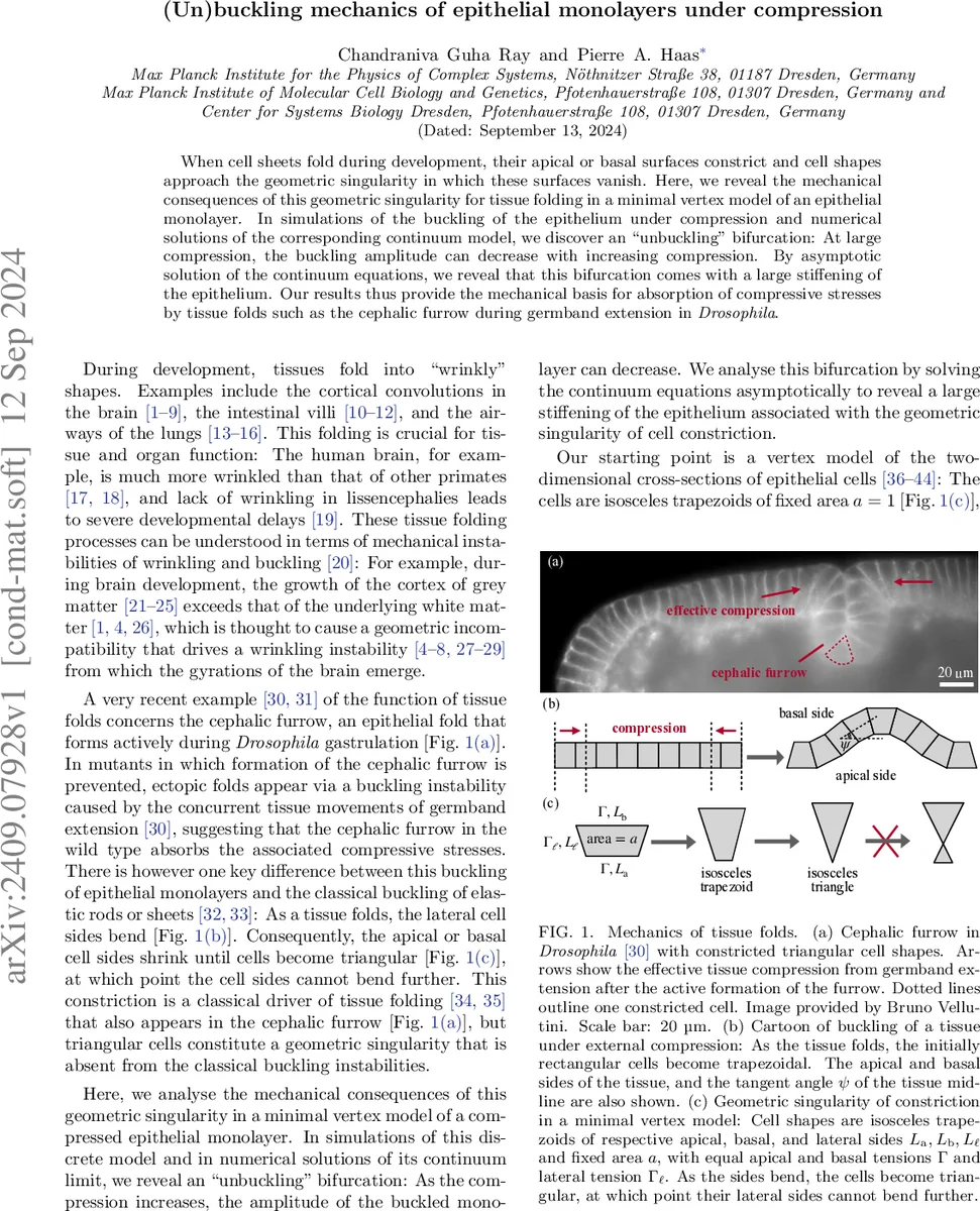 Building Bridges in Quantum Information Science Education: Expert Insights to Guide Framework Development for Interdisciplinary Teaching and Evolution of Common Language