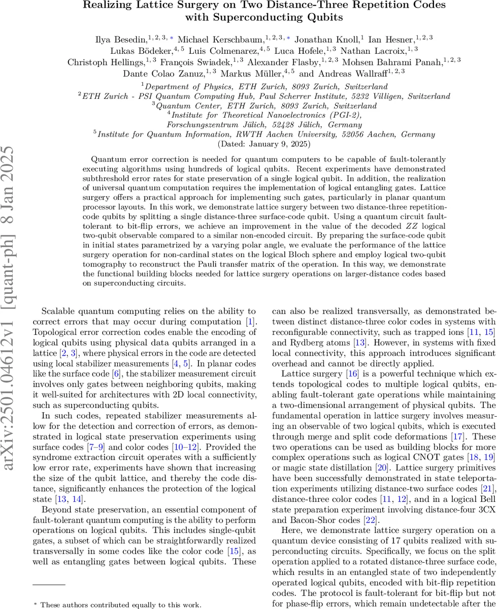 Homotopy Cardinality and Entropy