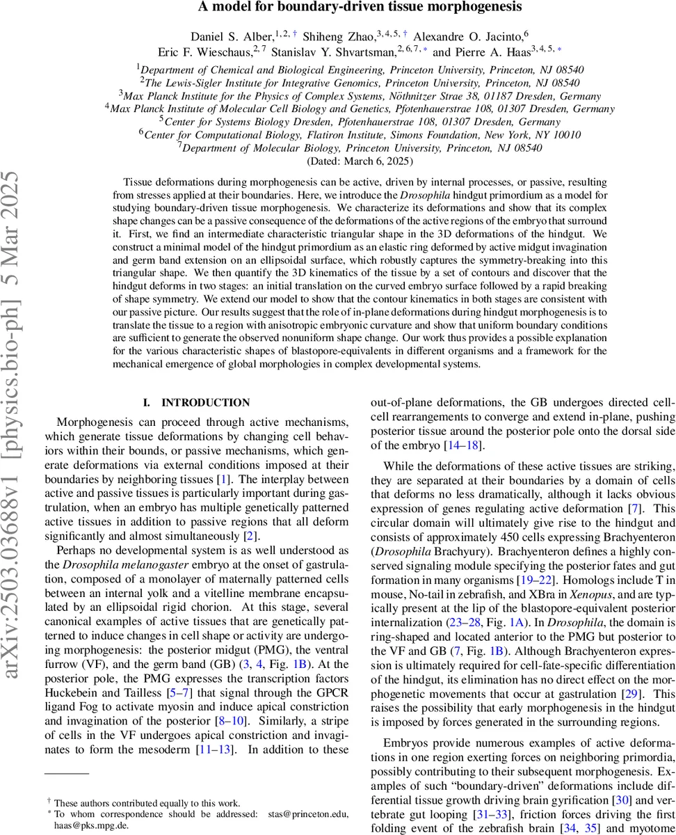 CachePrune: Neural-Based Attribution Defense Against Indirect Prompt Injection Attacks