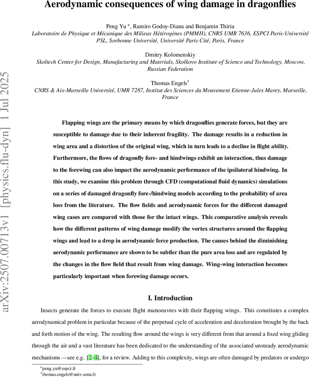 Calibration and Transformation-Free Weight-Only LLMs Quantization via Dynamic Grouping