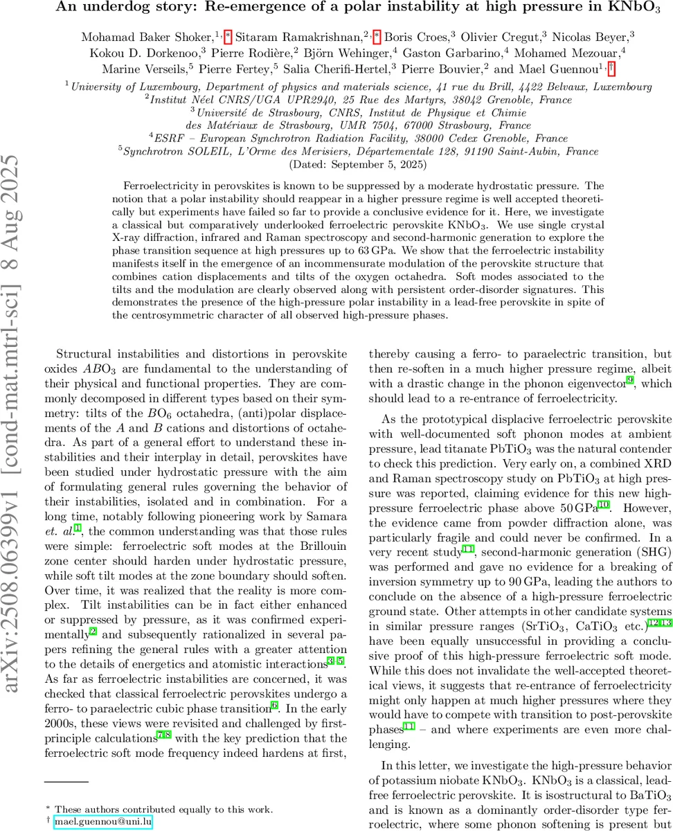 Observation of a family of all-charm tetraquarks