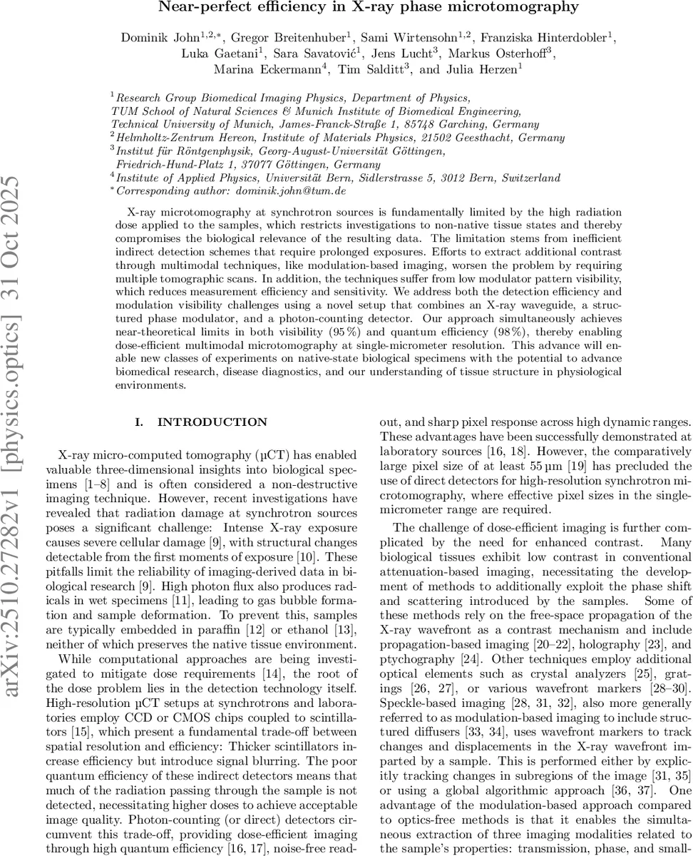 Real-Time Brain Mapping: EEG, Graph Networks, and What Neuroscience is Learning from AI