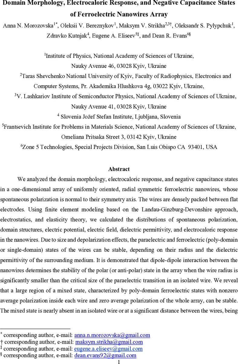 D-convolution categories and Hopf algebras