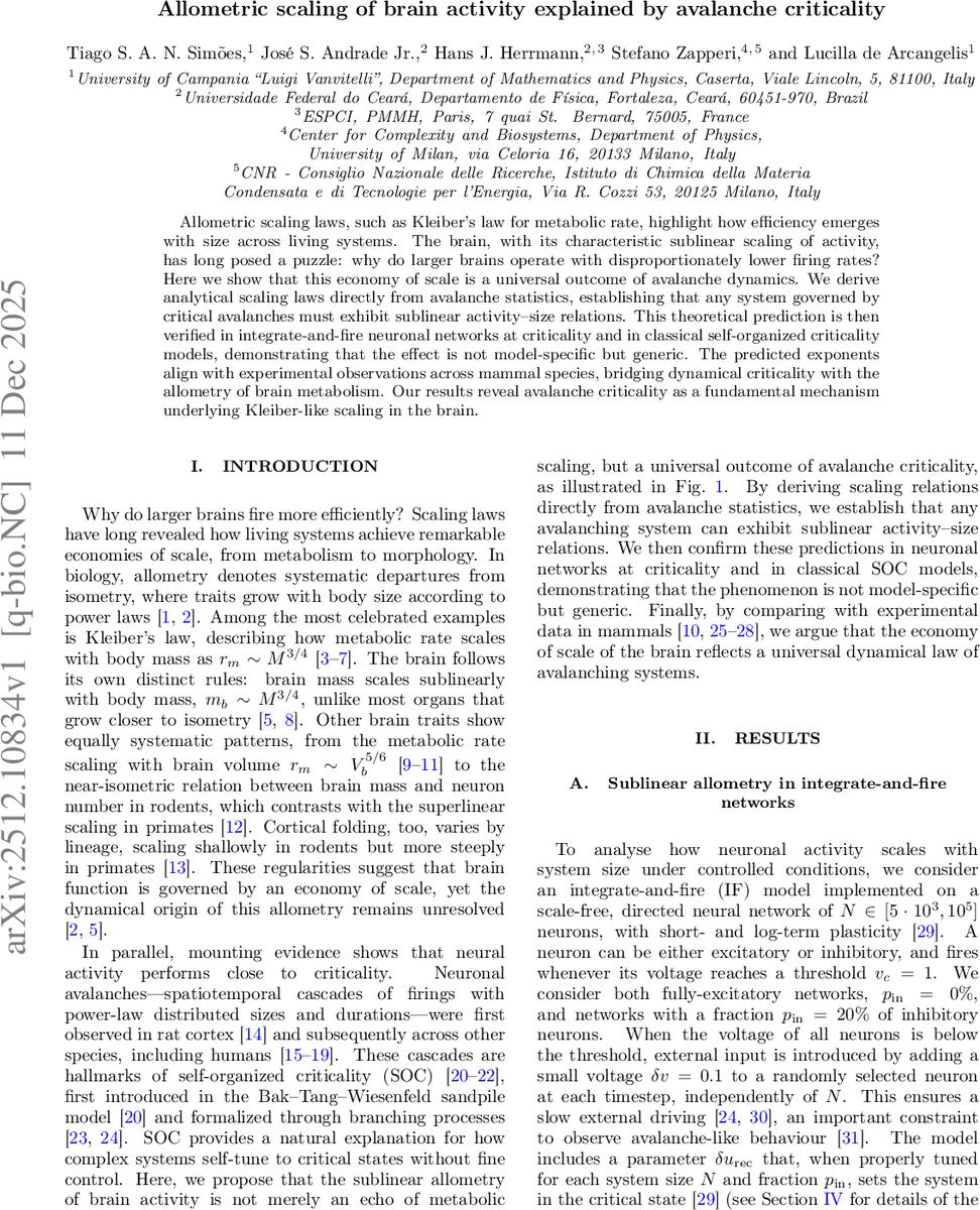 Stability and bifurcations of a minimal model for the effect of PrEP-related risk compensation in epidemics of sexually transmitted infections