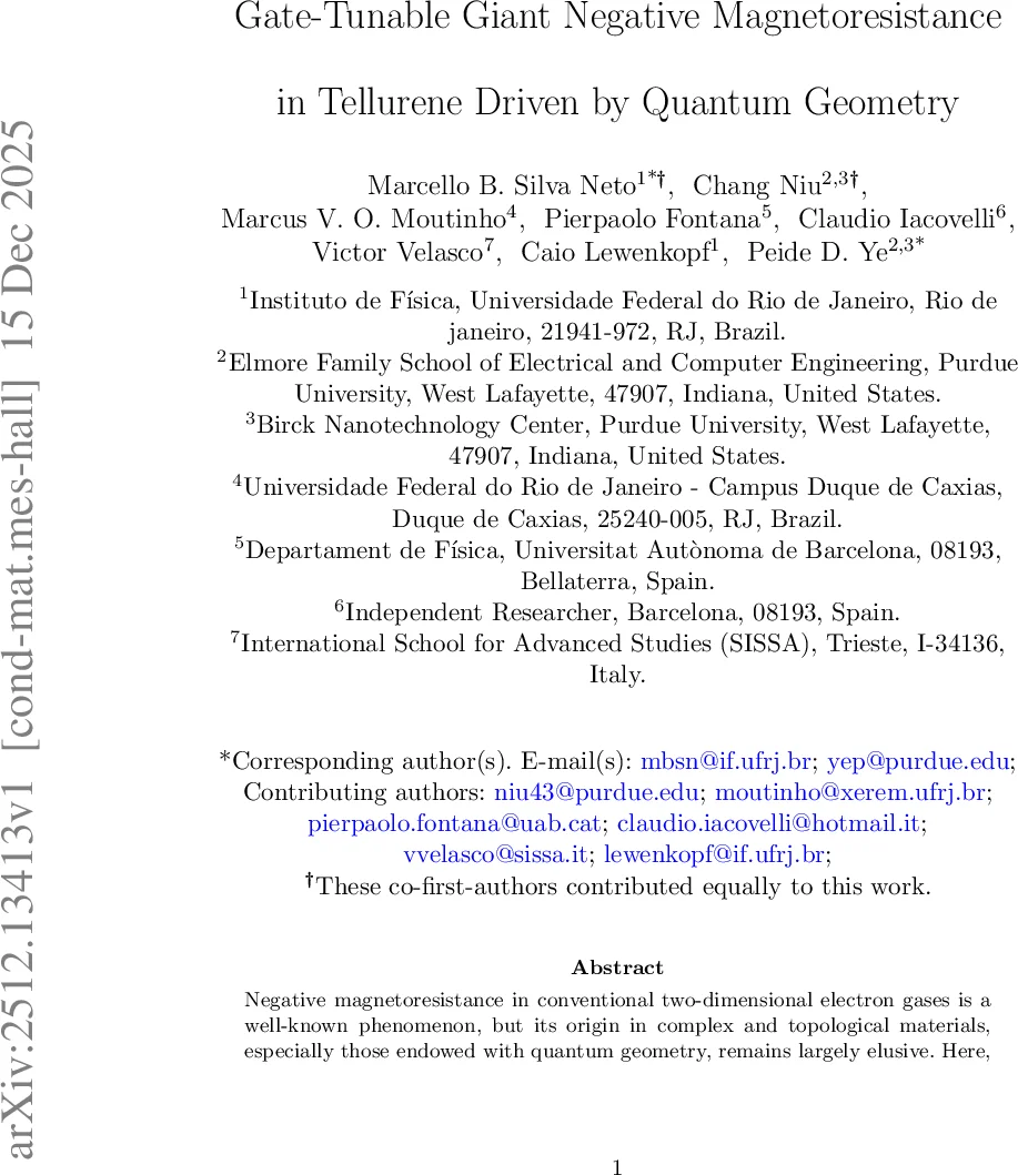 Quantum Dynamics of a Nanorotor Driven by a Magnetic Field