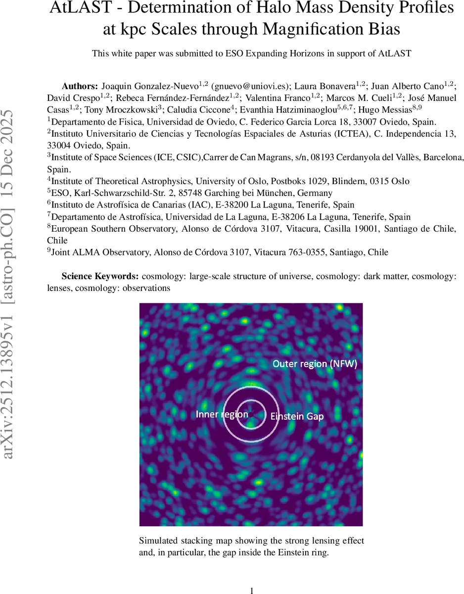 Primer C-VAE: An interpretable deep learning primer design method to detect emerging virus variants