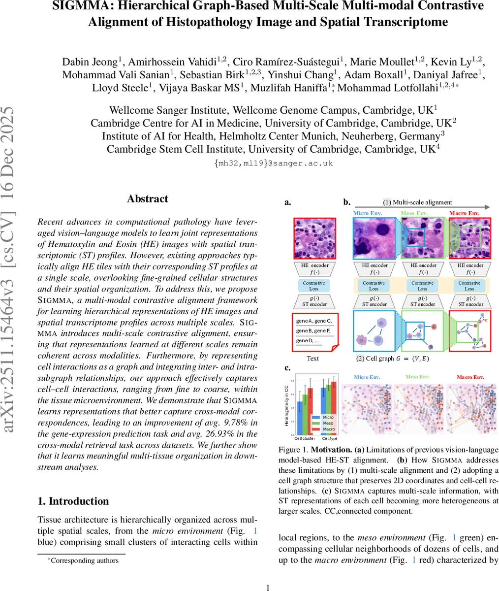 Multi-View Foundation Models
