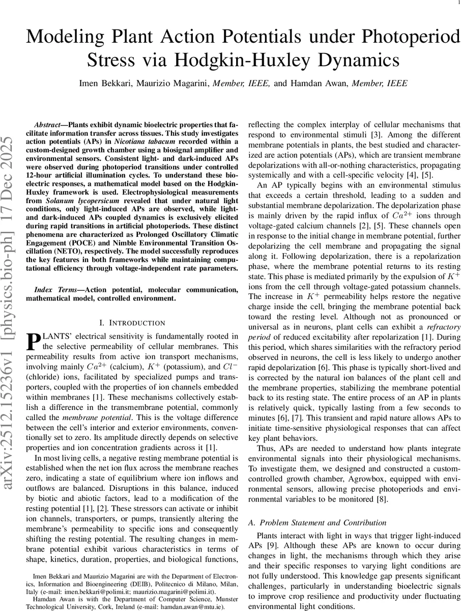 From Logits to Hierarchies: Hierarchical Clustering made Simple