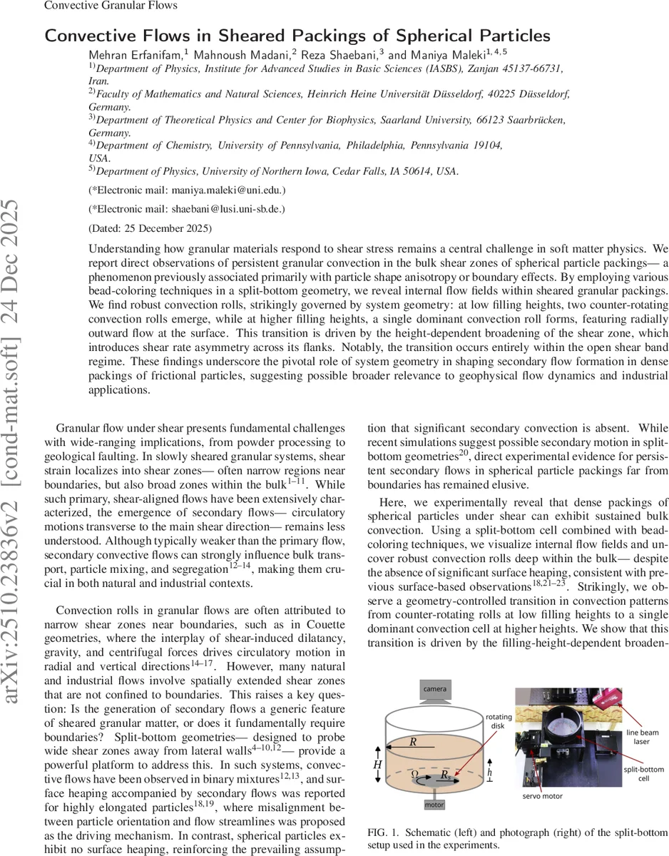 Deconfined quantum criticality with internal supersymmetry