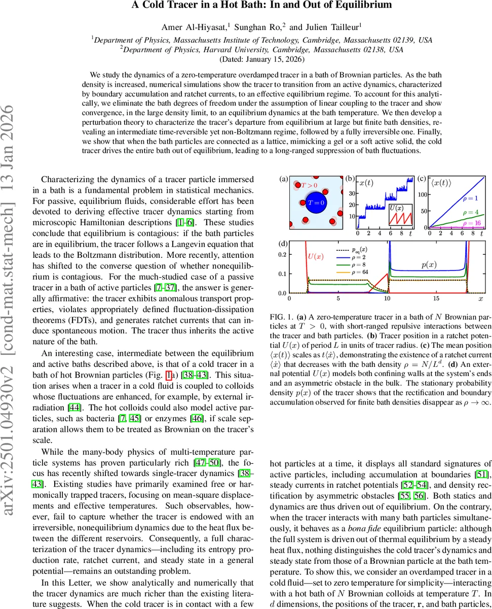(H)ALPing the 511 keV line: A thermal DM interpretation of the 511 keV emission