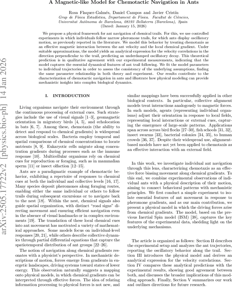 A Magnetic-like Model for Chemotactic Navigation in Ants