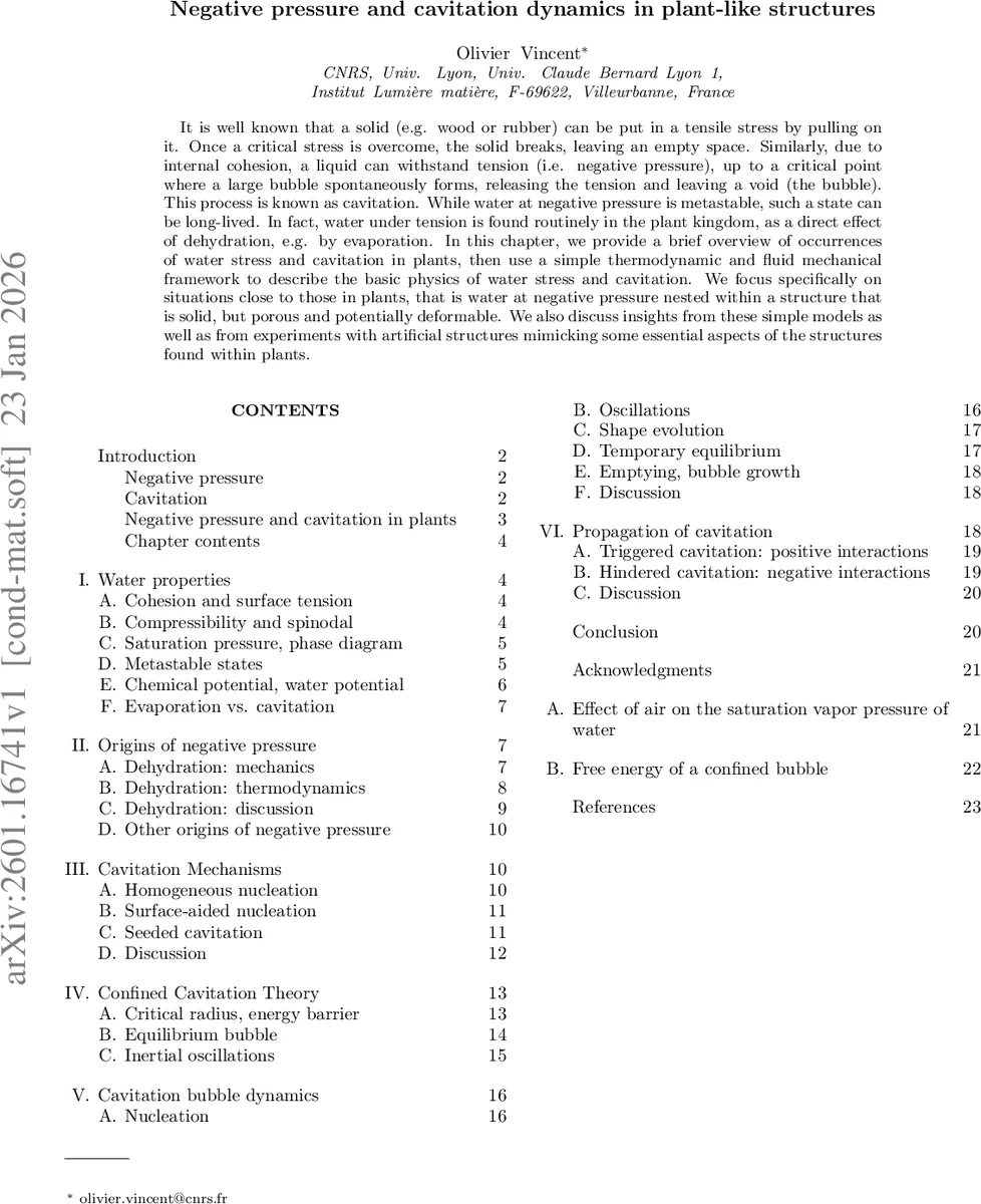 TraCT: Disaggregated LLM Serving with CXL Shared Memory KV Cache at Rack-Scale