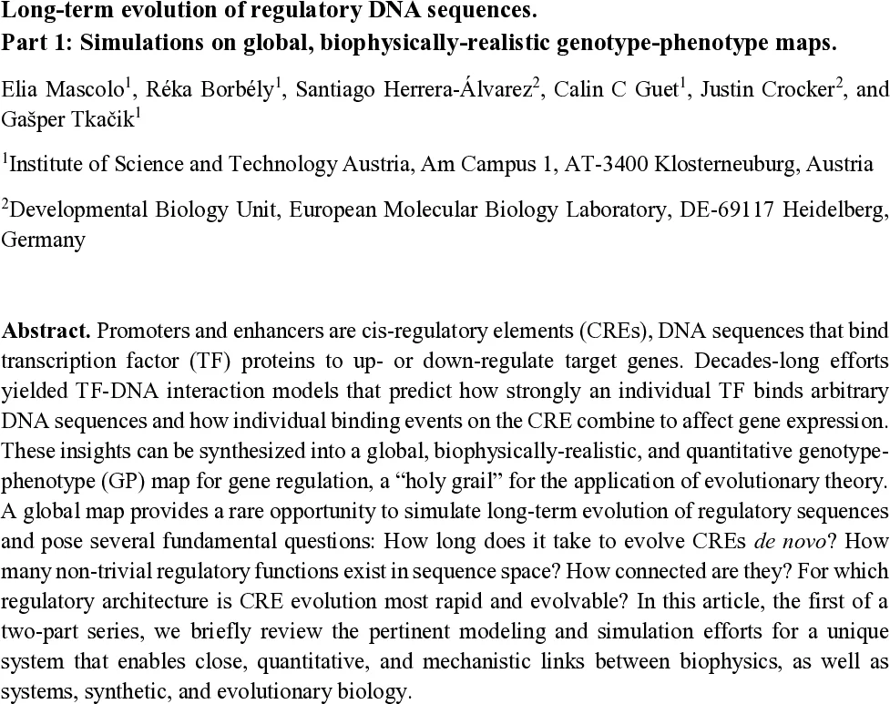 CaTs and DAGs: Integrating Directed Acyclic Graphs with Transformers for Causally Constrained Predictions