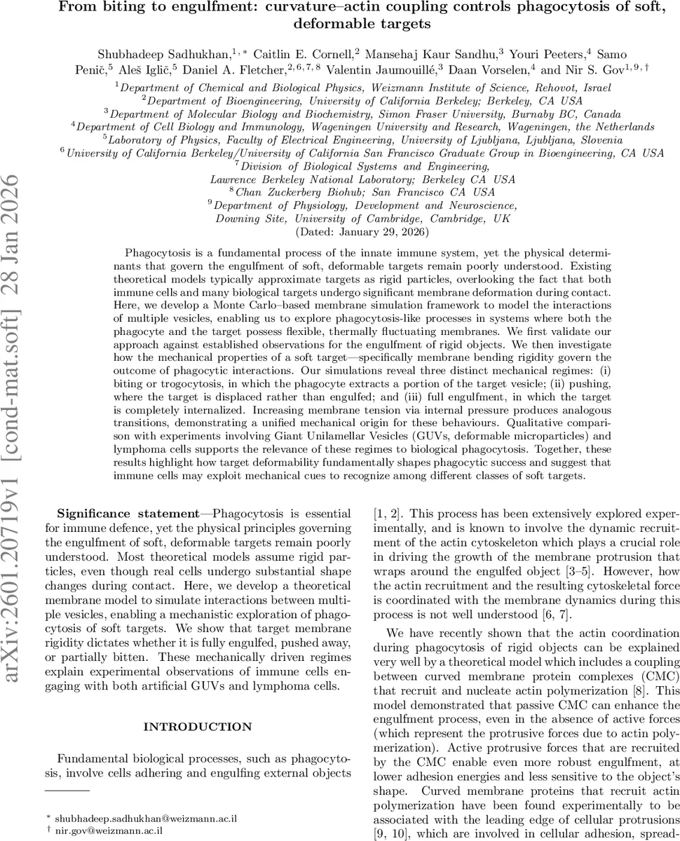 A Flexible Empirical Bayes Approach to Generalized Linear Models, with Applications to Sparse Logistic Regression