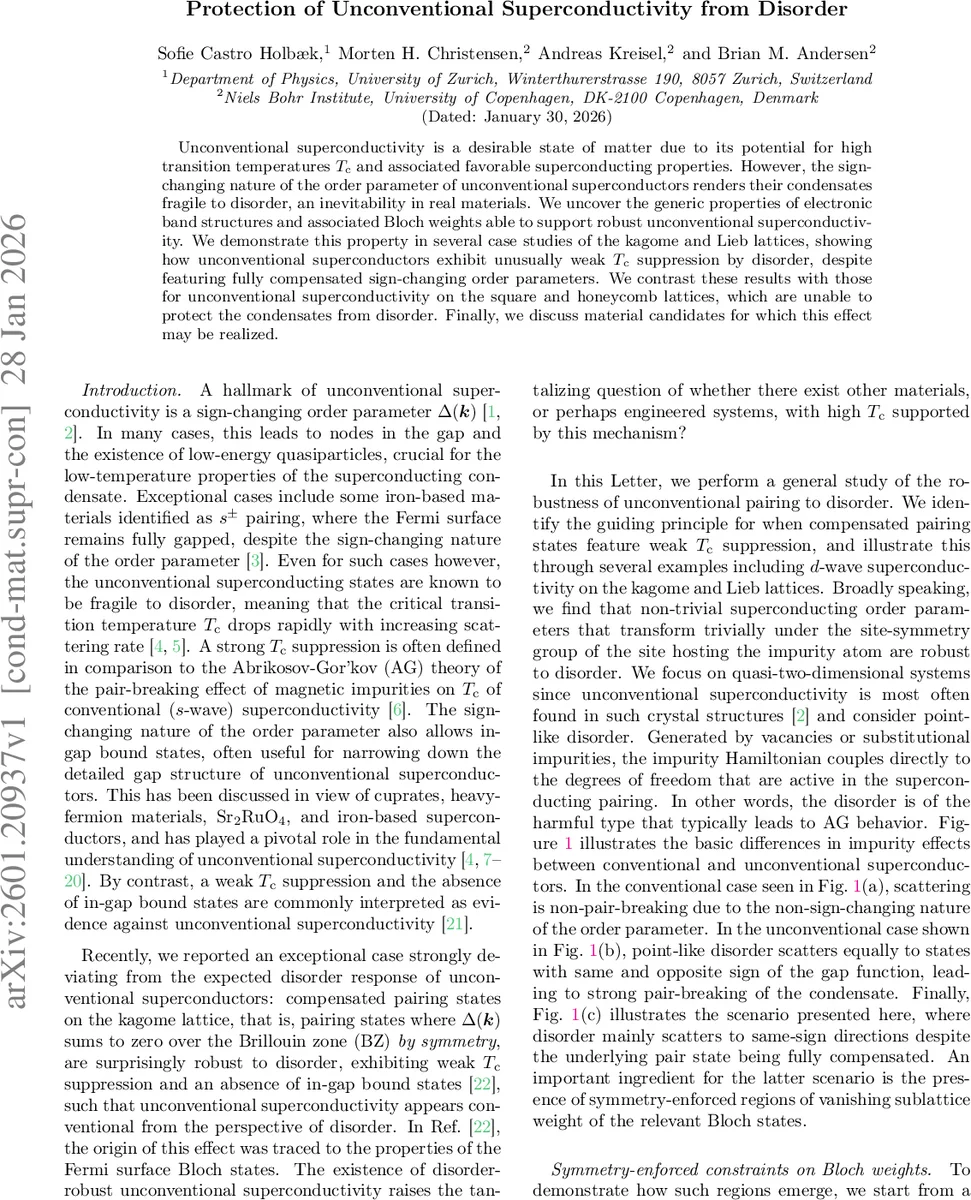 LSR-Net: A Lightweight and Strong Robustness Network for Bearing Fault Diagnosis in Noise Environment