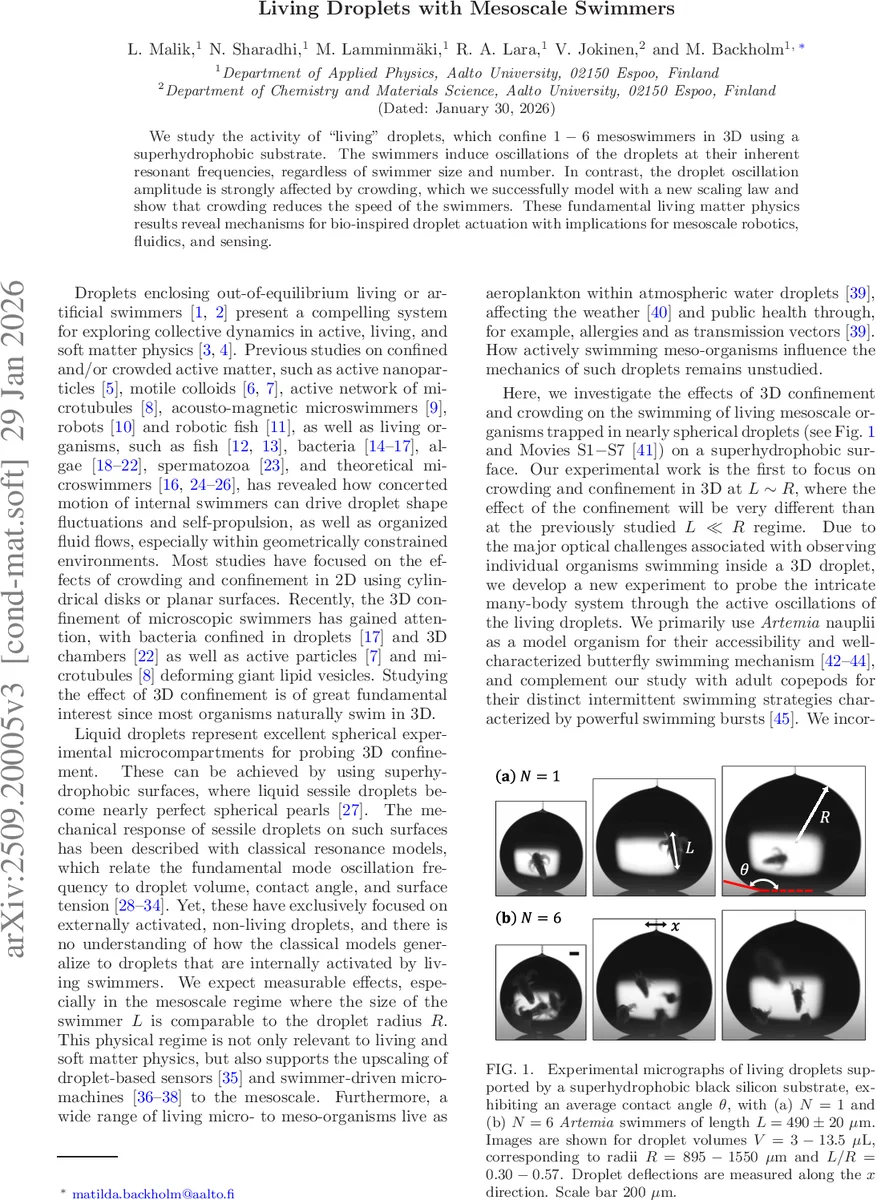 BioModelsRAG: A Biological Modeling Assistant Using RAG (Retrieval Augmented Generation)