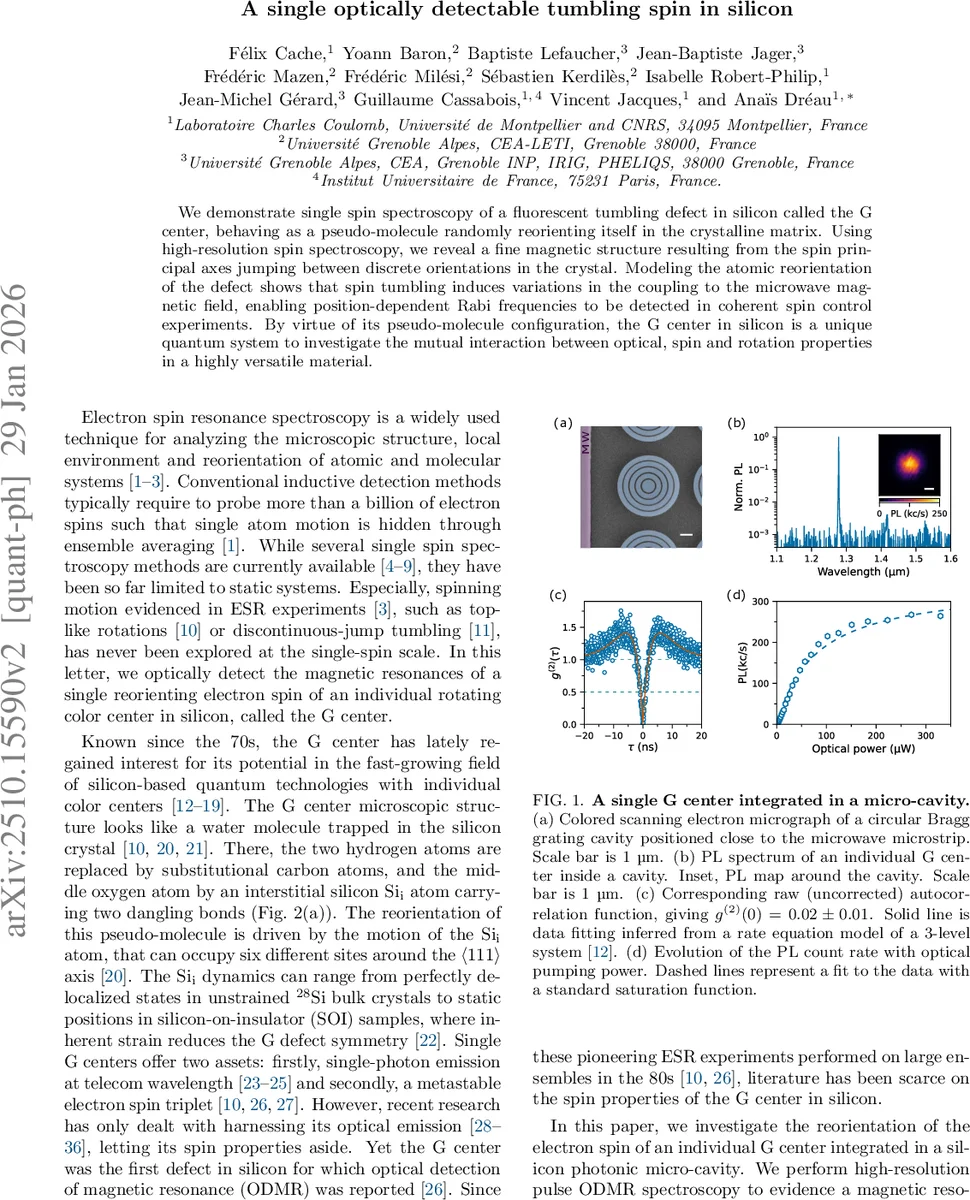 Countering the Over-Reliance Trap: Mitigating Object Hallucination for LVLMs via a Self-Validation Framework