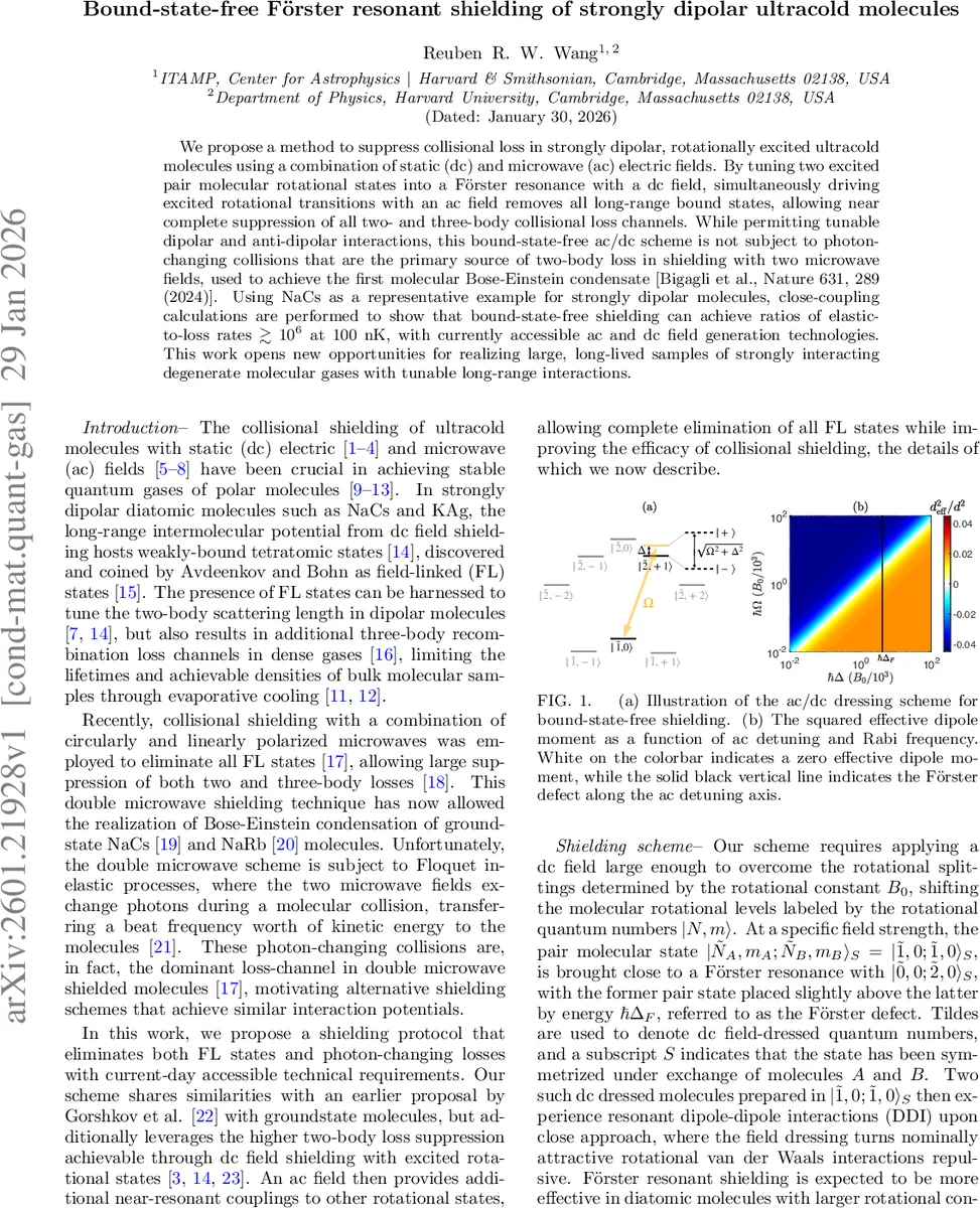 2d Conformal Field Theories on Magic Triangle