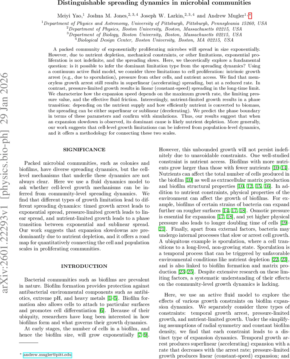 Exploring the Role of Automated Feedback in Programming Education: A Systematic Literature Review