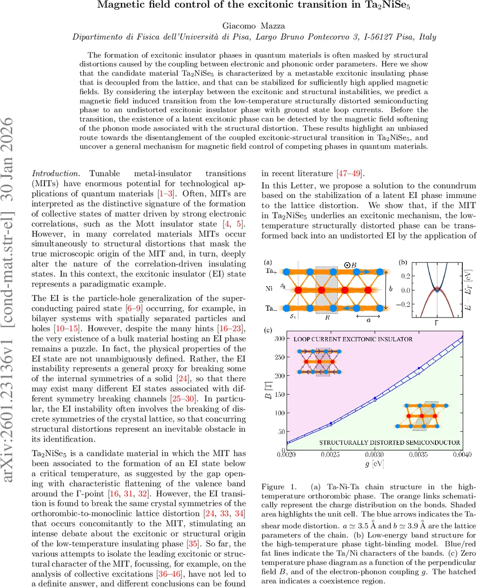 Operators with disconnected spectrum in von Neumann algebras
