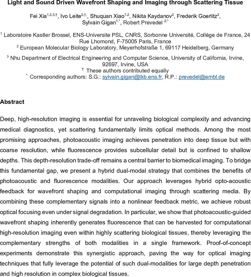 Unmediated AI-Assisted Scholarly Citations