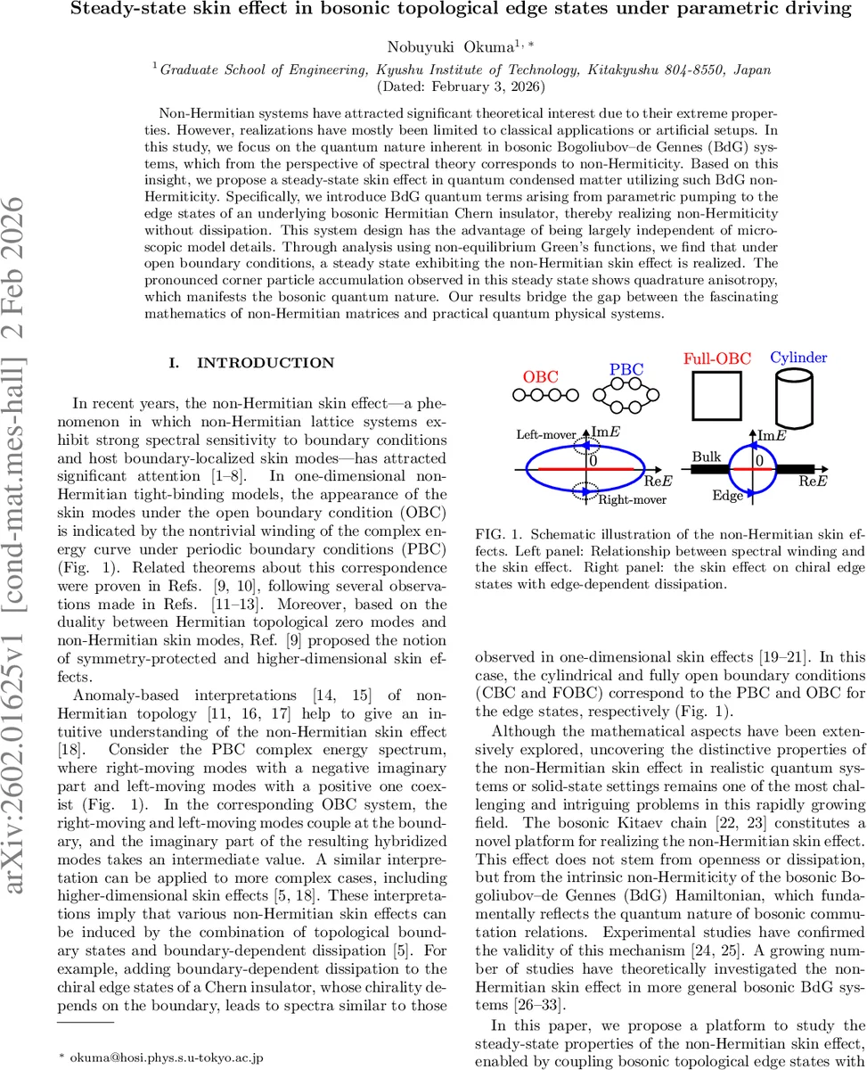 Steady-state skin effect in bosonic topological edge states under parametric driving