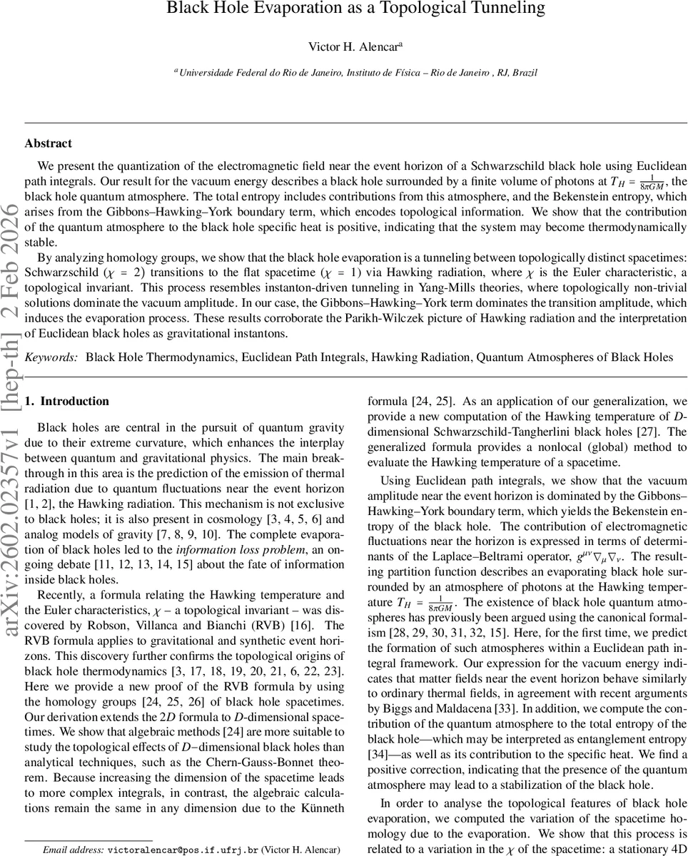 Learning Representations for Independence Testing