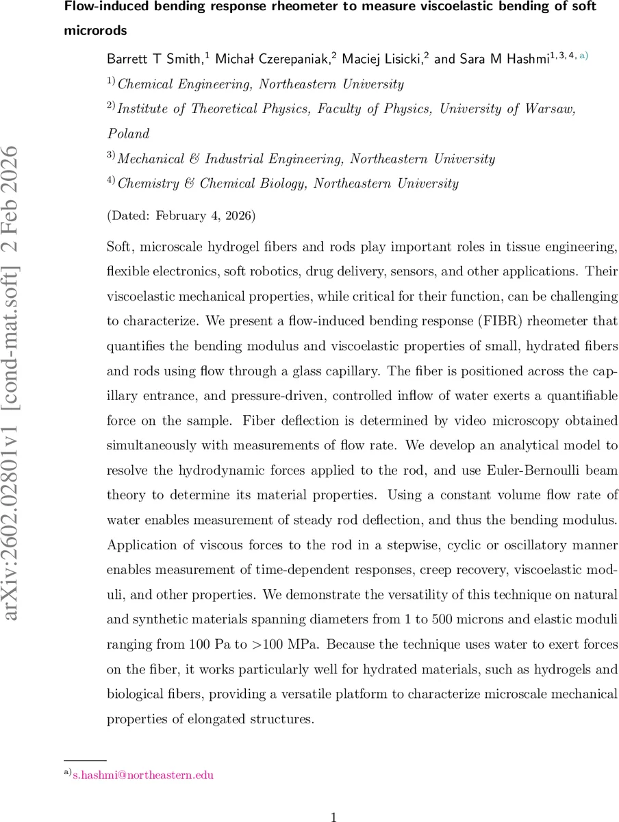 Monotonicity as an Architectural Bias for Robust Language Models