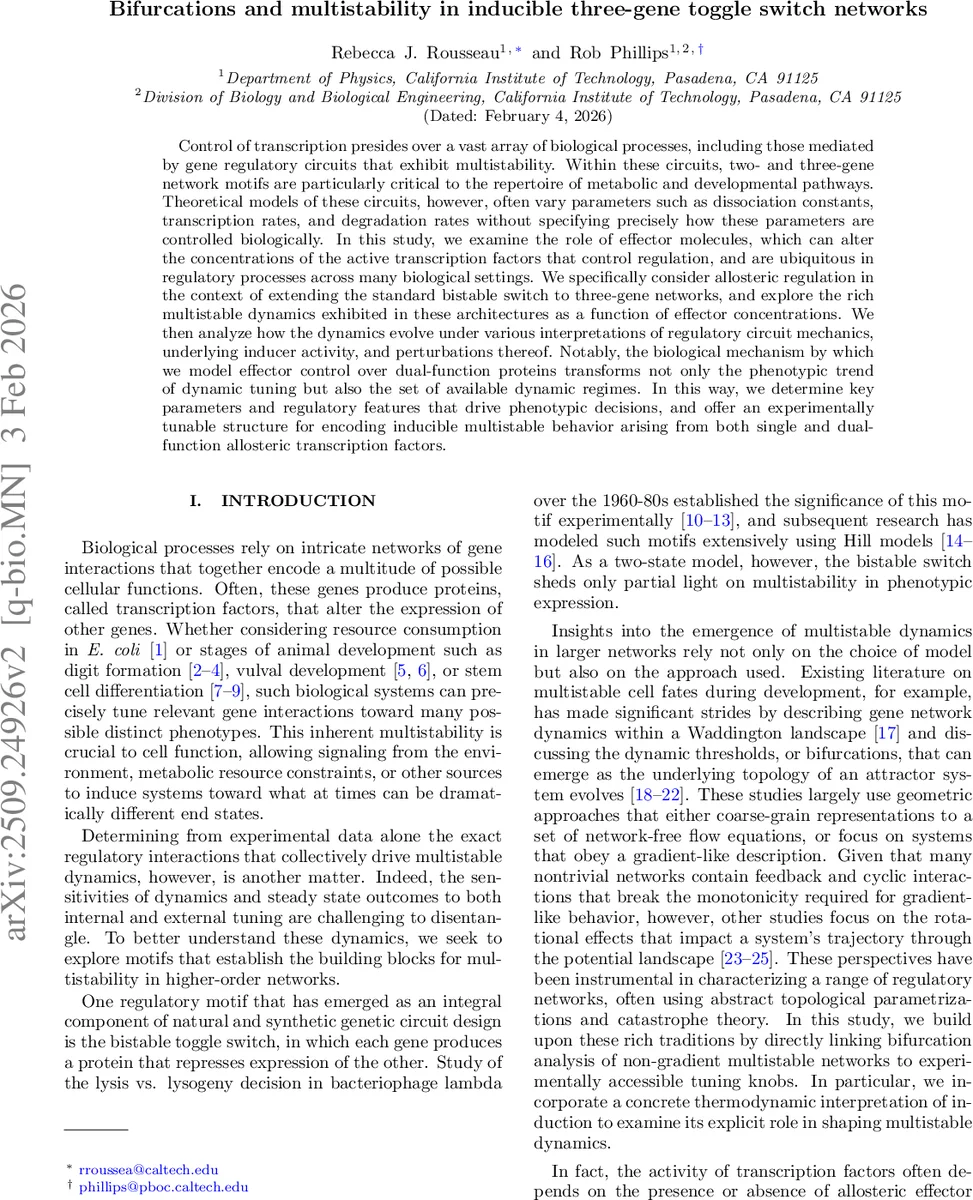 Understanding Degradation with Vision Language Model