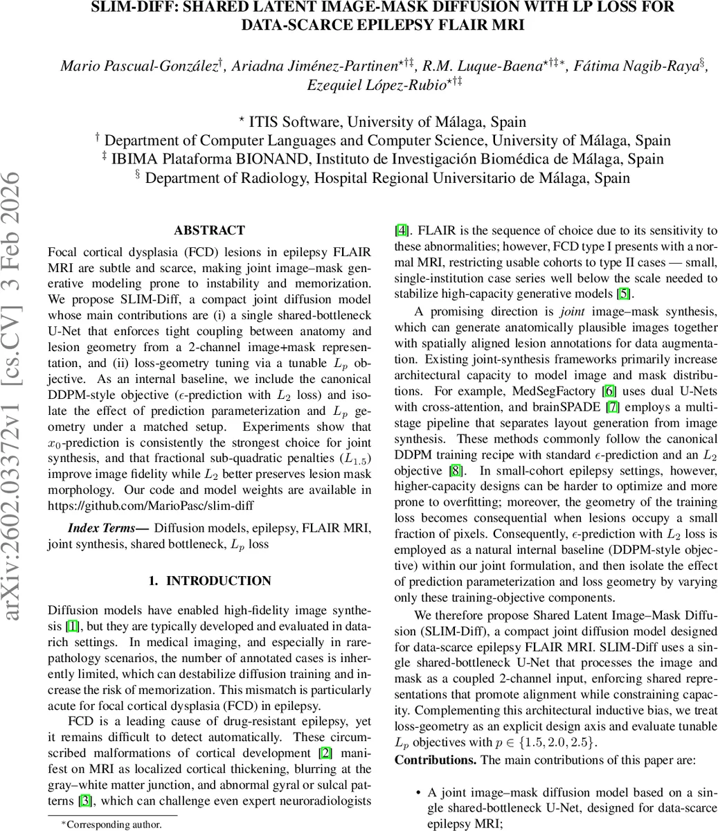 SLIM-Diff: Shared Latent Image-Mask Diffusion with Lp loss for Data-Scarce Epilepsy FLAIR MRI